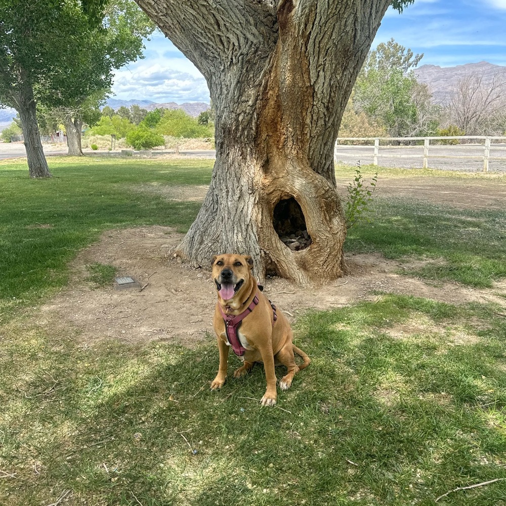 Meet your Posher, Wendy